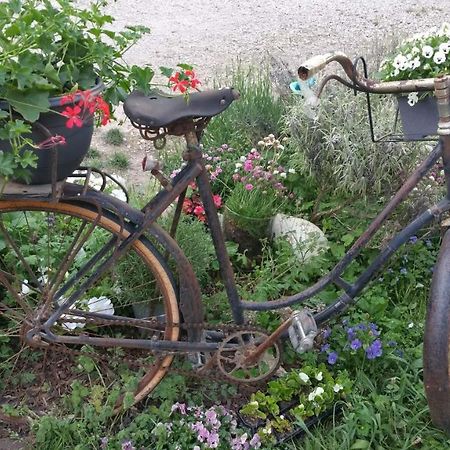 Basse-Cour De Montin Au 256 Chemin De La Rocaille A 38510 Vezeronce Curtin Bed & Breakfast Morestel Exterior foto