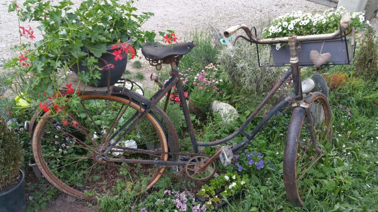 Basse-Cour De Montin Au 256 Chemin De La Rocaille A 38510 Vezeronce Curtin Bed & Breakfast Morestel Exterior foto